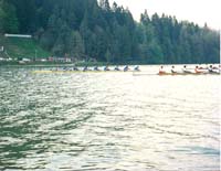 Bled 1990
